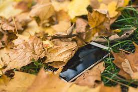 ฝันว่าโทรศัพท์ตกหาย