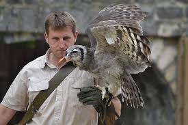 ฝันว่าได้จับนก