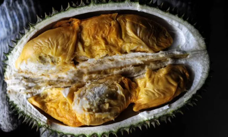 ฝันเห็นทุเรียนเน่า