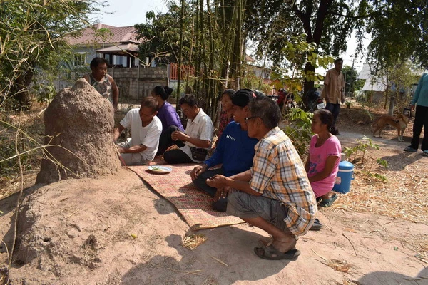 ฝันเห็นปลวกขึ้นบ้าน