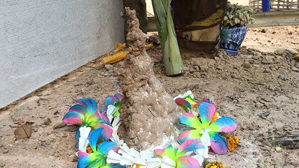 ฝันเห็นจอมปลวกบ้านคนอื่น