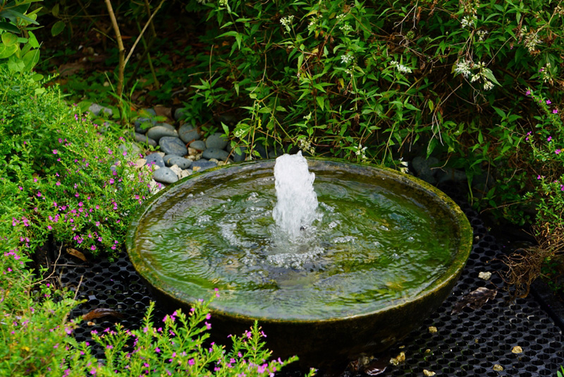 ฝันเห็นบ่อน้ำ