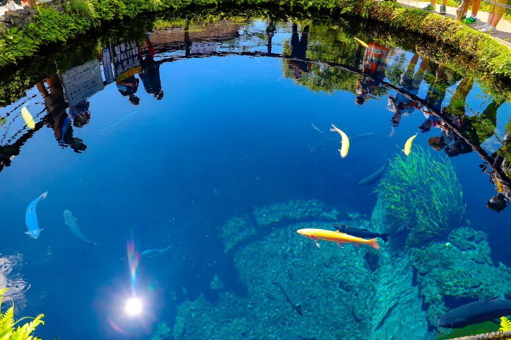 ฝันเห็นบ่อน้ำใสสะอาด