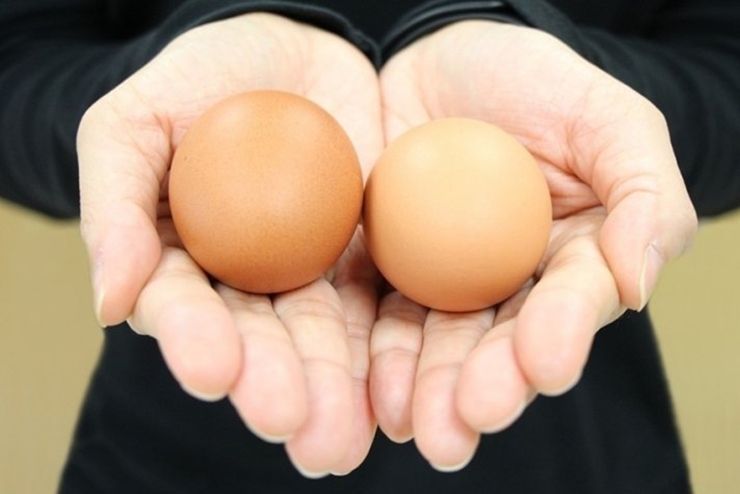 ฝันเห็นไข่ไก่ 2 ฟอง